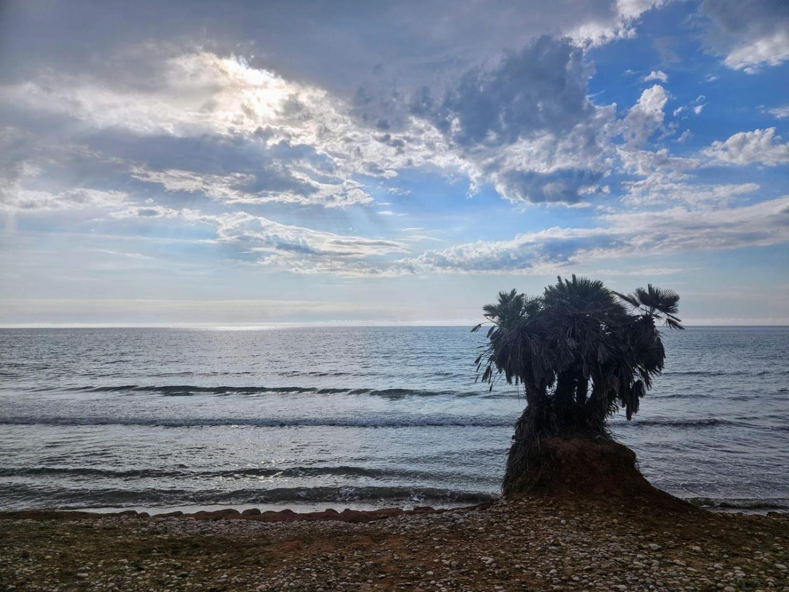 Mondrian Magic World - Sea View First Line Of The Beach Oropesa del Mar Exterior foto