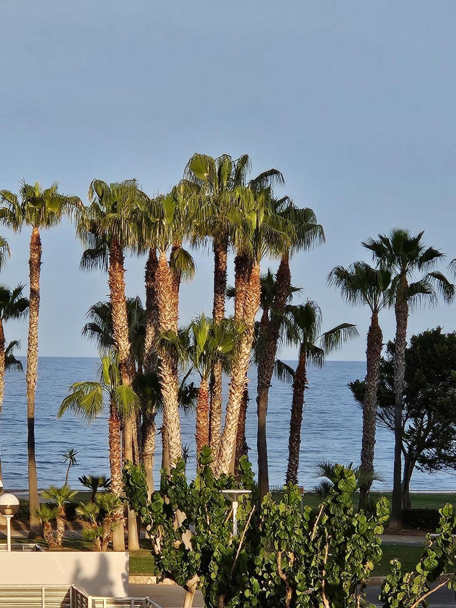 Mondrian Magic World - Sea View First Line Of The Beach Oropesa del Mar Exterior foto